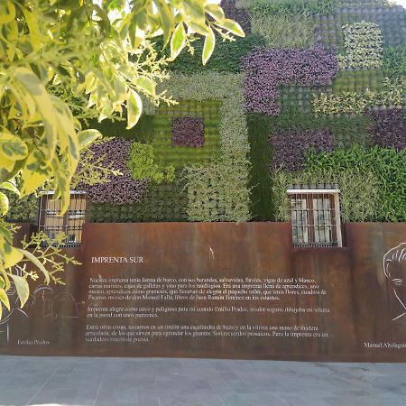 Acogedor Y Moderno Estudio En Capuchinos Malaga Luaran gambar