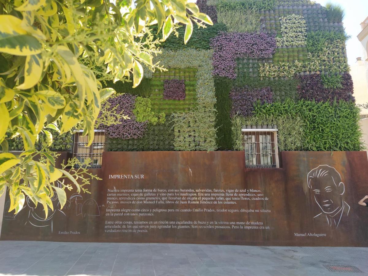 Acogedor Y Moderno Estudio En Capuchinos Malaga Luaran gambar